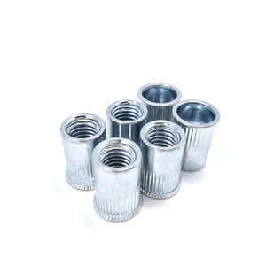 Tuerca de remache <span class=keywords><strong>MS</strong></span> Acero al carbono Cabeza pequeña galvanizada Nutsert Rivnut - Product Image 6