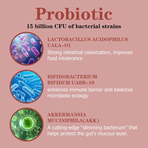 Líquido Oral Adelgazante al por Mayor de Fábrica con Vitamina E y Riboflavina para Mejorar la Absorción y el Sistema Inmunológico, Suplementos Herbales Líquidos - Product Image 4