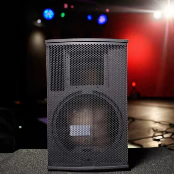 XD12 Single 12 Inch Passive 2 Ways Empty Speaker Enclosure Professional Stage Karaoke Speaker Cabinet for Affordable Price