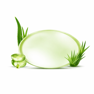 Jabón en Barra Transparente Vegano a Base de Plantas con Aloe Vera y Glicerina para Piel Sensible, para Hombres y Mujeres - Product Image 2