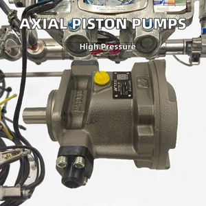 Bomba de Pistones Axiales Hy10p-Rp Hy10p-Lp Hy16p-Rp Hy16p-Lp, Bomba Hidráulica de Pistones Hy10 Hy16 Hy18, Presión de Funcionamiento de 100 Bares, 0.5 <span class=keywords><strong>HP</strong></span> - Product Image 2