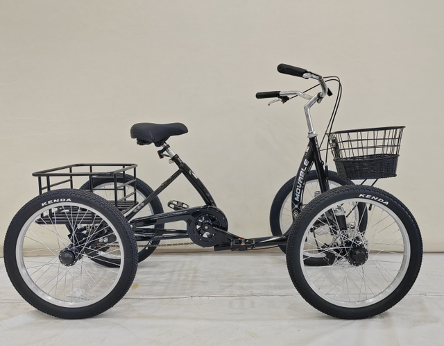 OEM-CG 2026 New Trend 20"  Quadricycle 4-Wheel City Cruiser Bike with Premium Design Ultimate Comfort for Riding