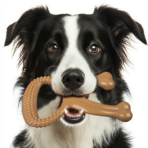 Custom Logo <strong>Dog</strong> Chew Toys for Aggressive Chewers Beef Flavor Indestructible <strong>Dog</strong> Teething <strong>Bones</strong> for <strong>Dog</strong> Pet Toy with <strong>Nylon</strong> - Product Image 4