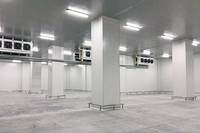 Chambre Froide Industrielle Commerciale pour Stockage d'Aliments Surgelés avec Compresseur Copeland, Pompe, Moteur et Condenseur Évaporatif – Prix Compétitif