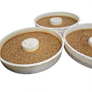 Vente en gros de vers de farine séchés comestibles d'insectes alimentaires naturels à haute teneur en protéines pour animaux de compagnie pour oiseaux - Product Image 1