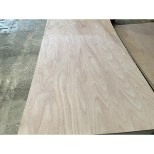 <span class=keywords><strong>Precio</strong></span> al por mayor Tamaño <span class=keywords><strong>de</strong></span> 3mm-25mm Lvl <span class=keywords><strong>Madera</strong></span> <span class=keywords><strong>de</strong></span> tilo/<span class=keywords><strong>Pino</strong></span>/eucalipto/<span class=keywords><strong>madera</strong></span> mixta <span class=keywords><strong>Madera</strong></span> contrachapada laminada <span class=keywords><strong>Madera</strong></span> contrachapada comercial - Product Image 4