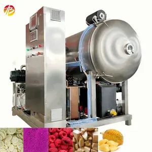2024 Energy-saving type fruit vegetable lyophilizer freeze dryer machine honey freeze dryer machine seafood freeze dryer