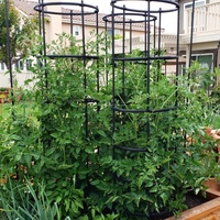 Metall-Garten-Pflanzenstützpfähle und Rankgitter für Tomaten, Gurken, Obst, Bohnen und Kletterpflanzen