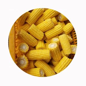 Emballage personnalisé IQF <span class=keywords><strong>fruits</strong></span> <span class=keywords><strong>et</strong></span> <span class=keywords><strong>légumes</strong></span> frais en vrac prix du marché du maïs sucré congelé partie entière - Product Image 2