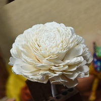 Diffuseur de roseaux en bois Sola fait à la main Floral Ins Design Fleurs artificielles pour la décoration de mariage ou de fête à la maison