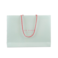 Eco-Friendly Thick Paperboard Gift Bag Custom Printed with Long Cotton Rope Handle
