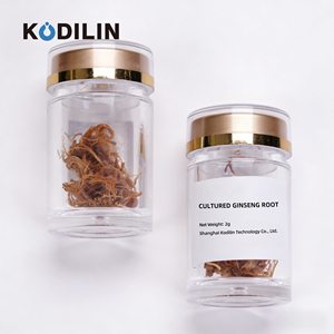 Kodilin – Presque 40 brevets – 100g <span class=keywords><strong>de</strong></span> racines adventices <span class=keywords><strong>de</strong></span> ginseng frais <span class=keywords><strong>de</strong></span> haute qualité, purement végétales, améliorant le sommeil - Product Image 1