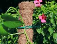 Varilla de tótem de fibra de coco extensible para plantas de escalada, palo de palma de coco para jardinería, enredaderas de interior, disponible