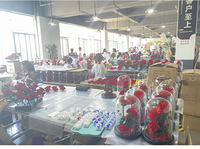Vente en gros d'usine, Saint-Valentin, Noël, Nouvel An, dôme en verre, roses éternelles, boîte cadeau enchantée Belle