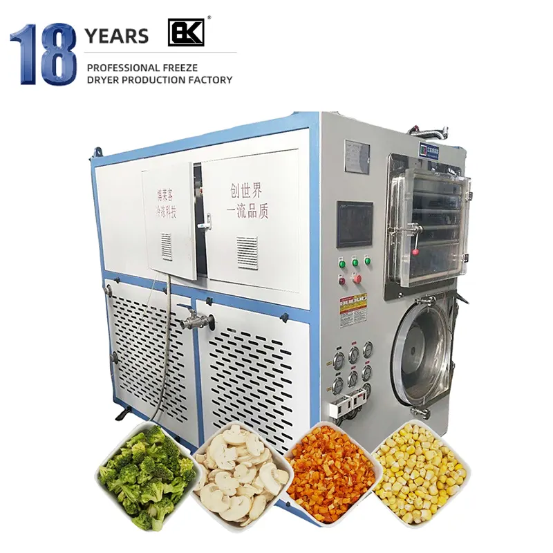 Factory Direct Selling Square Air Small Cooled Straberry freeze drying machine Camel Milk For Home