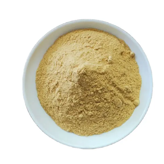 生乾燥挽きジンジャー粉食品スパイス中国