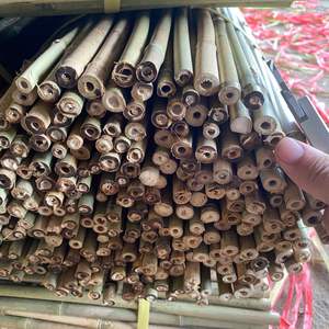 Poteaux en bambou Tonkin de haute qualité Tube de poteau en bambou traité au Vietnam pour cadre de meuble et décoration de complexe du fournisseur - Product Image 5