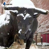 Statue de taureau en bronze surdimensionnée peinte à la main et personnalisée - Installation artistique durable en fibre de verre pour hôtels, centres commerciaux et parcs à thème