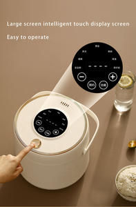 Mini olla arrocera de 2L con olla antiadherente extraíble, función de mantener el calor para sopas, guisos, granos, avena, Mini Olla Arrocera - Product Image 5