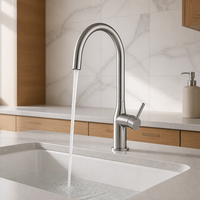 Robinet de cuisine en acier inoxydable 304 sans plomb, à levier unique, col de cygne, arc haut, col flexible, eau chaude et froide, directement de l'usine