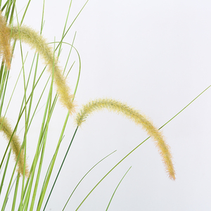 Bán Buôn Thiết Kế Vườn Cây Cỏ Nhân Tạo Cỏ Nhân Tạo Cây Bonsai Hành Tây Cỏ Để Trang Trí - Product Image 4