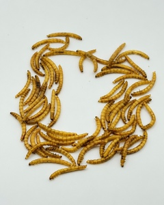 ผลิตภัณฑ์หนอนนกอบแห้งที่มีคุณค่าทางโภชนาการสำหรับปลาในตู้ปลา <span class=keywords><strong>ปลา</strong></span>คาร์ฟ อาหารเม็ดทดแทน - Product Image 6