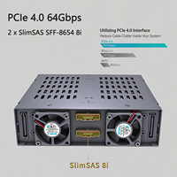 Rak Enclosure Mobile 4 Bay 15MM U.2 U.3 NVMe 2.5" SSD PCIe 4.0 yang Dapat Dilepas untuk Bay Drive 5.25"