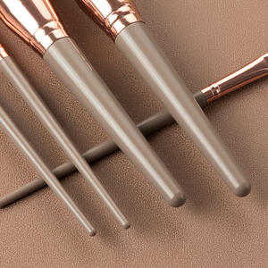 DailyQueen ensemble <span class=keywords><strong>de</strong></span> pinceaux <span class=keywords><strong>de</strong></span> maquillage professionnels 10 pièces outils <span class=keywords><strong>de</strong></span> beauté <span class=keywords><strong>Champagne</strong></span> tendance virole en aluminium pour blaireaux privés - Product Image 3