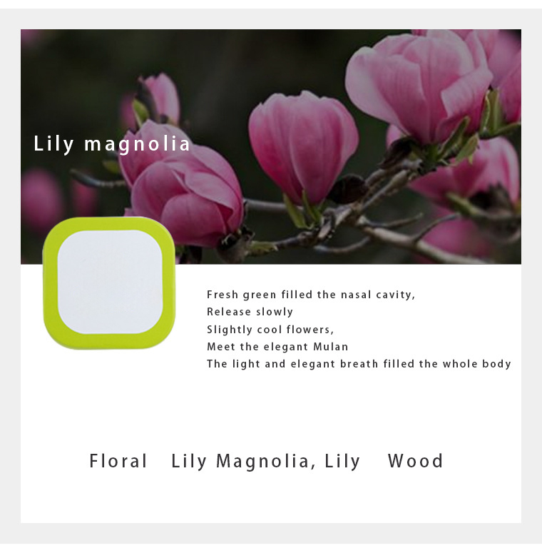 Lily magnolia