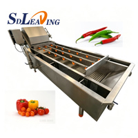 Multifunctionele wortelgewaswasmachine met borstelrol voor het reinigen van aardappelen, wortelen, gember, cassave, fruit en voedsel.
