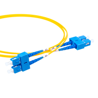 10m 20m 30m 50m FTTH Cordon de raccordement à fibre optique en mode Simplex extérieur SC APC Câble de dérivation monomode noir