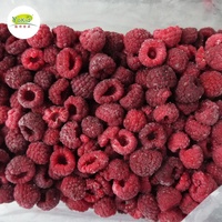 Hot Export Prijs Frambozen Iqf Vers Bevroren Raspberry Fruit Hele Voor Verkoop