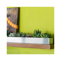 Pot de fleur en acier inoxydable, fait sur mesure, Long Pot de fleurs en métal, Pots succulents pour bureau