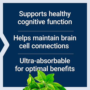 Etiqueta personalizada Calma Nootrópicos Suplementos de memoria cerebral L-Threonate Cápsulas de magnesio Complejo de vitaminas y minerales - Product Image 4