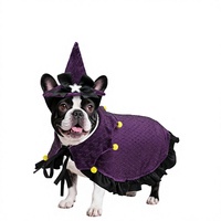 Costume de sorcière pour chien pour Halloween, pour petits/moyens/grands chiens, design matelassé, utilisable toute l'année |   Déguisement pour chien pour fête costumée