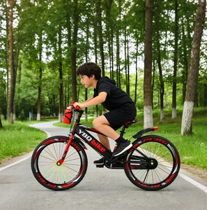 Biciclette <span class=keywords><strong>da</strong></span> Montagna in Acciaio <span class=keywords><strong>da</strong></span> 20 Pollici per Bambini e Ragazzi con Cestino in Plastica, Vendita all'Ingrosso - Product Image 2