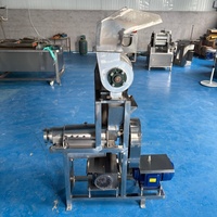 RVS schroefpers voor granaatappelsap, voor fruitverwerkingsbedrijven, met motor en kerncomponenten.