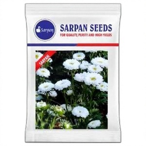 SARPAN HYBRID ASTER-AST-1 เมล็ดดอกไม้ 10 กรัม สีขาว อินเดีย - Product Image 1