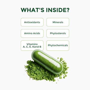Capsules de feuilles de Moringa bio Natualrise certifiées GMP, complément antioxydant naturel pour adultes, soutien immunitaire et intestinal, OEM/ODM - Product Image 4