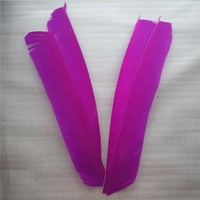 JINYUQI 100 pièces Gauche 20-30 cm En Gros Plume De Dinde 14 Couleurs Flèche Tir Chasse BRICOLAGE Tir À L'arc flèche