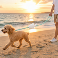 Laisse Rétractable pour Chien en Nylon PP ABS, Réfléchissante Automatique pour la Nuit, Haute Ténacité, pour Entraînement en Extérieur de Chiens de Tous Âges – En Stock