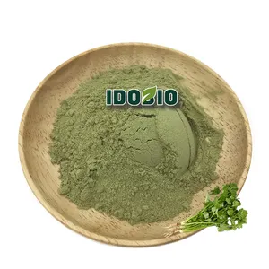 Wholesale cilantro powder cooking seasoning green coriander