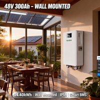 Baterai Lithium Ion 14kWh 48V 300Ah untuk Sistem Surya All in One yang Dipasang di Dinding dengan Roda