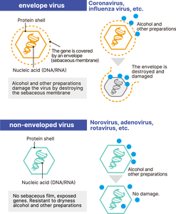 เครื่องฟอกอากาศพลาสมาฆ่าเชื้อทรงพลังรุ่นกะทัดรัดสำหรับรถยนต์ พร้อมแบตเตอรี่ในตัว - Product Image 4