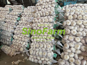 Ajo Fresco Sinofarm 2025, Semillas de Ajo de Nueva Cosecha para Plantar, 1KG 5KG, Alho Bawang Putih, Ajo Orgánico, Verdura Fresca, Cebolla, Ajo - Product Image 5