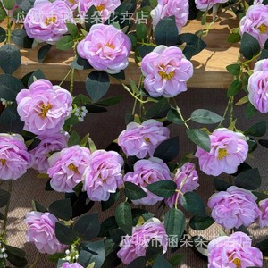 Guirlandes de roses artificielles en plastique et soie, branche unique, pour décoration de mariage, décoration murale, accessoires de vigne grimpante - Product Image 2