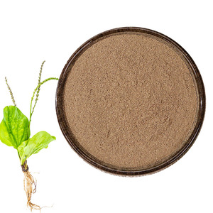 Food Grade Plantain <b>Extract</b> Powder Natural Extraction Direct From Source Factory - Product Image 1