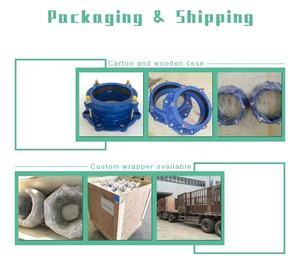 Соединение трубы из углеродистой стали, чугун из ковкого чугуна, ПВХ, быстроразъемный чугунный адаптер - Product Image 4