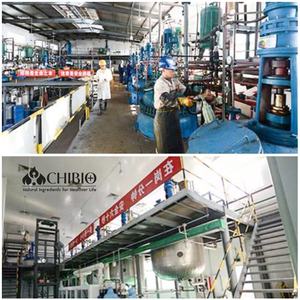 Carboxymethyl chitosan hemostatic granles สารห้ามเลือดห้ามเลือดอย่างรวดเร็ววัตถุดิบ - Product Image 5