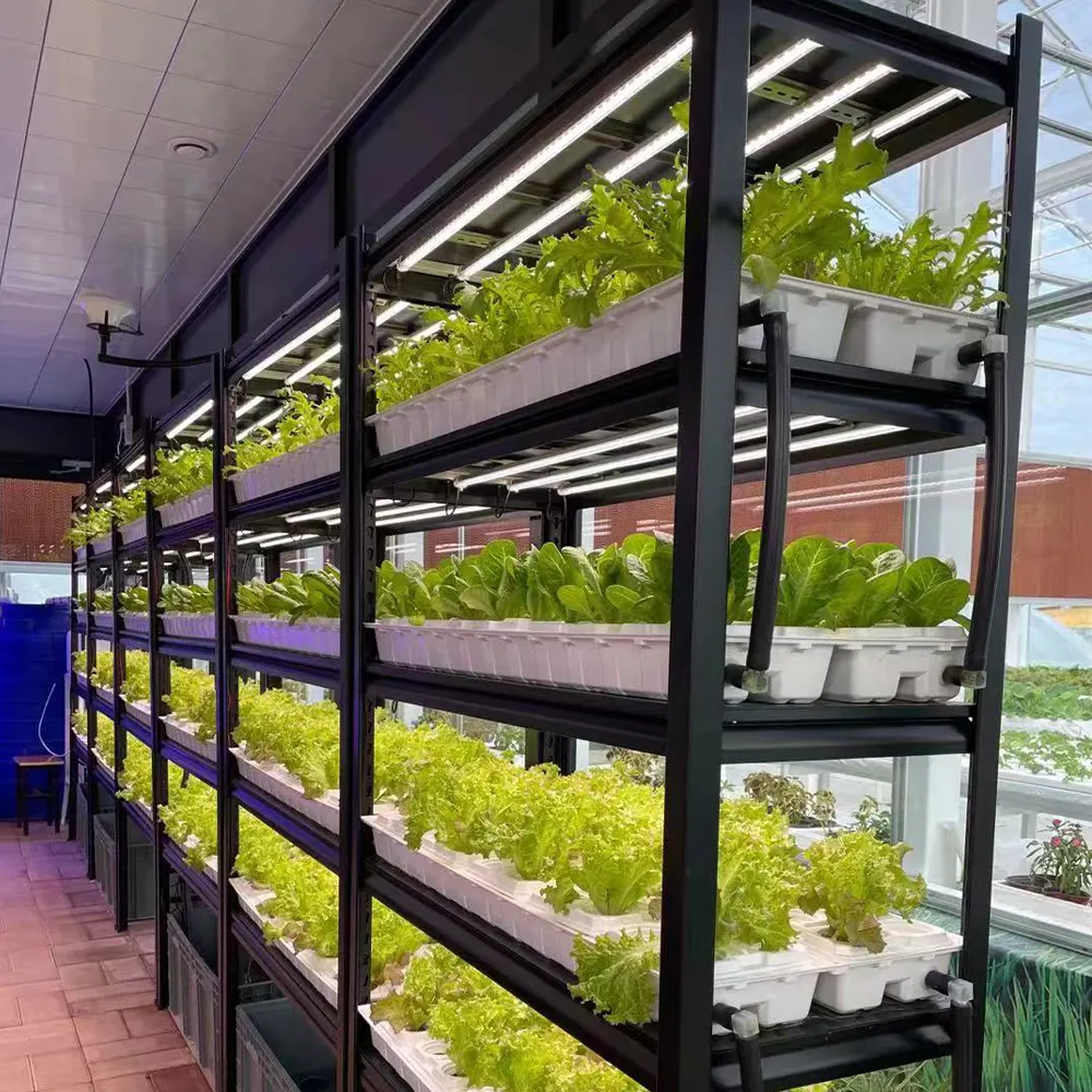 Вертикальная сельскохозяйственная стеллаж для выращивания растений, гидропоника, медицинские растения, передвижная комнатная стеллаж для выращивания растений, подносы для выращивания
